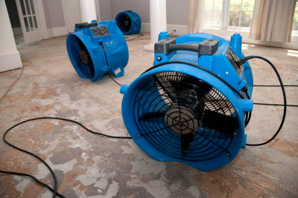  Camp Point, IL Water damage restoration Pros