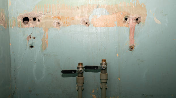 Best Ceiling water damage repair  in Camp Point, IL