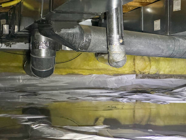 Best Flood restoration services  in Camp Point, IL