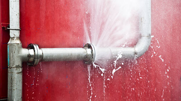 Best Residential water damage restoration  in Camp Point, IL